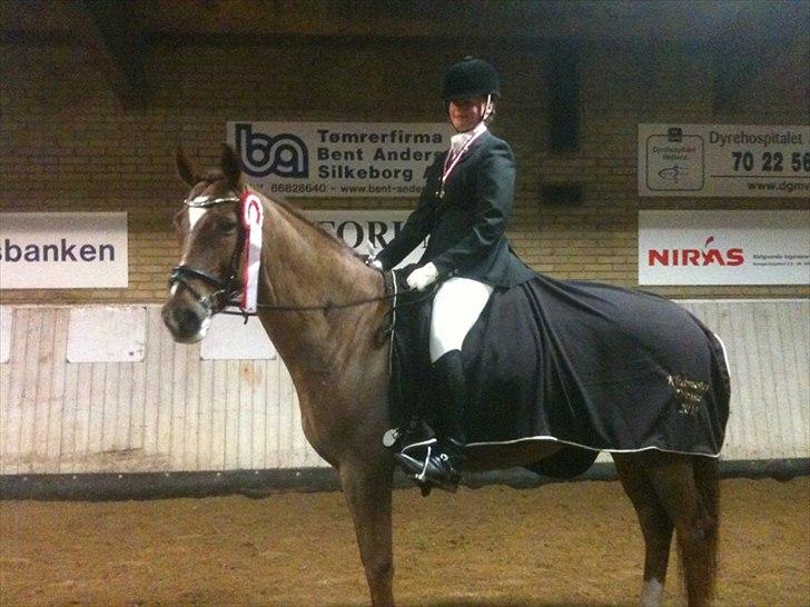 Dansk Varmblod Højbos Casius (Øffe) - KLUBMESTER 2011 !!!!!!!!!! Den hest betyder alt <3<3 billede 11