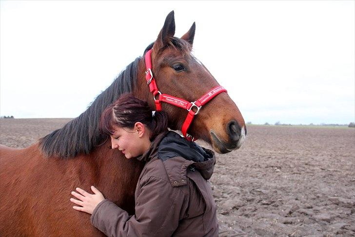 Anden særlig race Star  billede 4