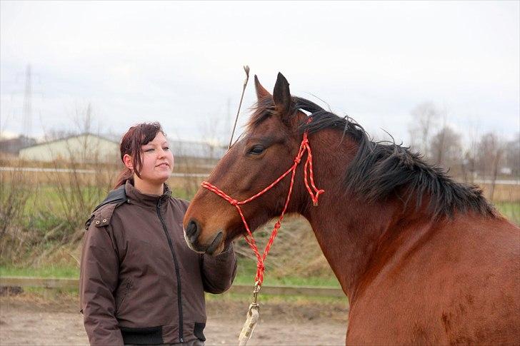 Anden særlig race Star  - opmærksomhed tak ;) heldigvis eer hun ikke bange for pisken billede 5
