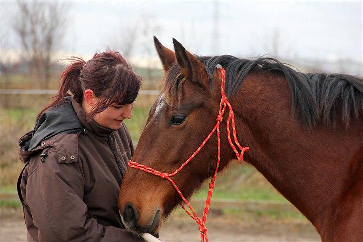 Anden særlig race Star  billede 6
