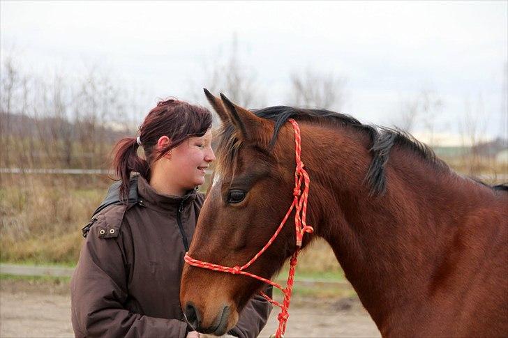 Anden særlig race Star  billede 13