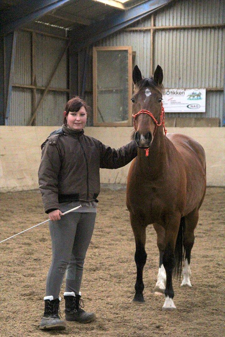 Anden særlig race Star  billede 17