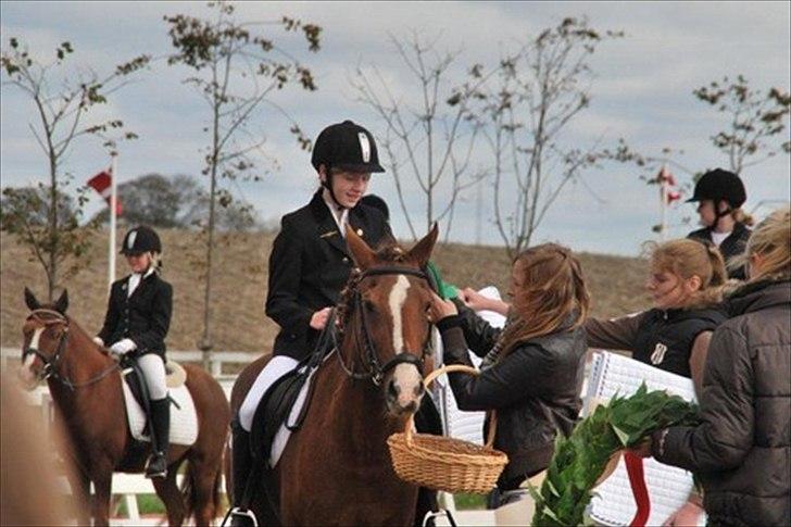 New Forest sasha - Nummer 4 til klubmester!<3<3' billede 19