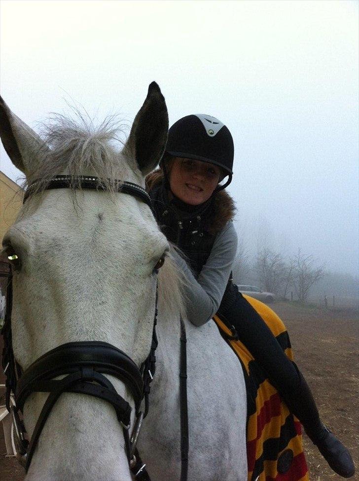 Anden særlig race Jock billede 8