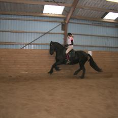 Frieser Maaike Margreet