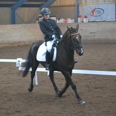 DSP Horsmarks Liberkin (DSP)