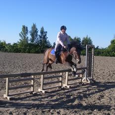 Anden særlig race Zafira  "solgt"