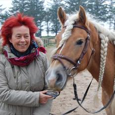 Haflinger Angelique