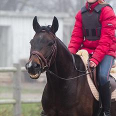 Anden særlig race Afrodite