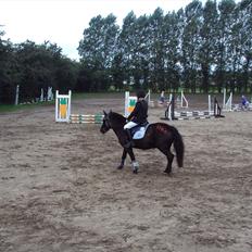 Anden særlig race Hannibal R.I.P.