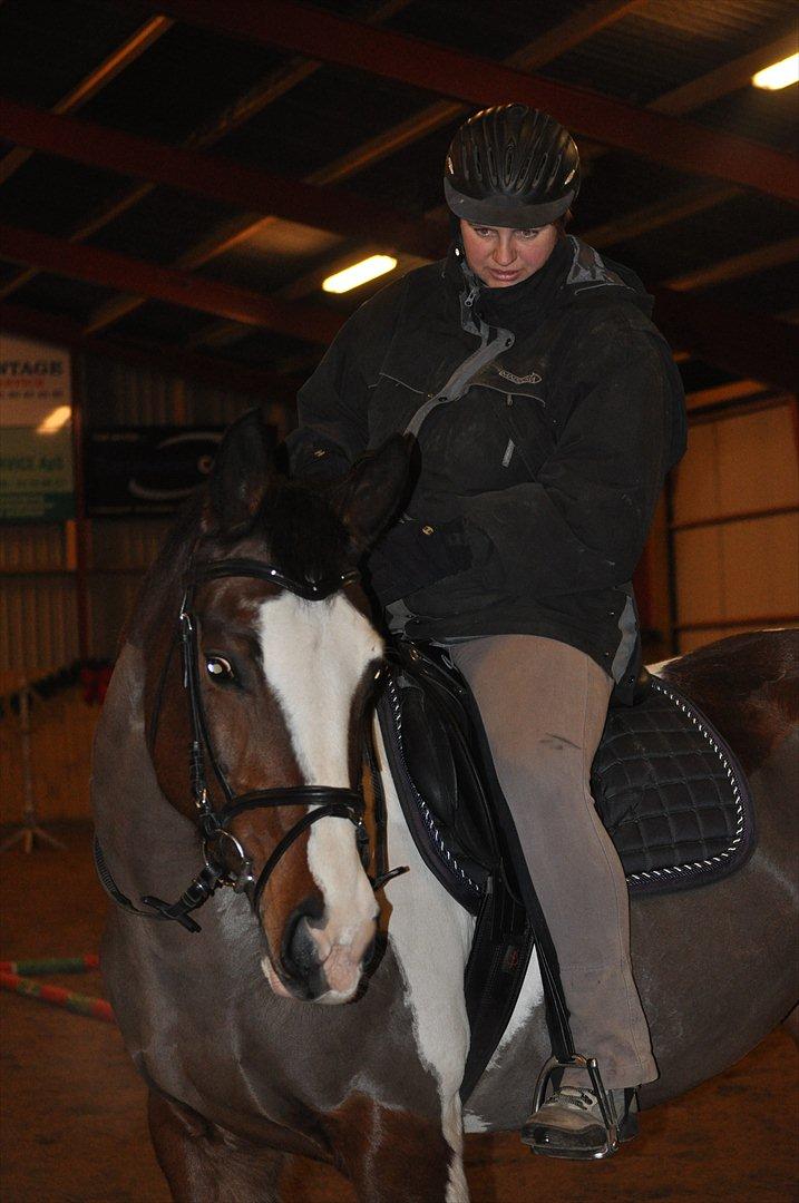 Anden særlig race Matell  billede 13