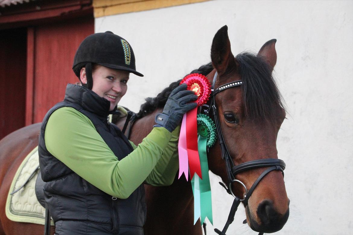 Dansk Varmblod Coffee Cup - Fra interdressage billede 8