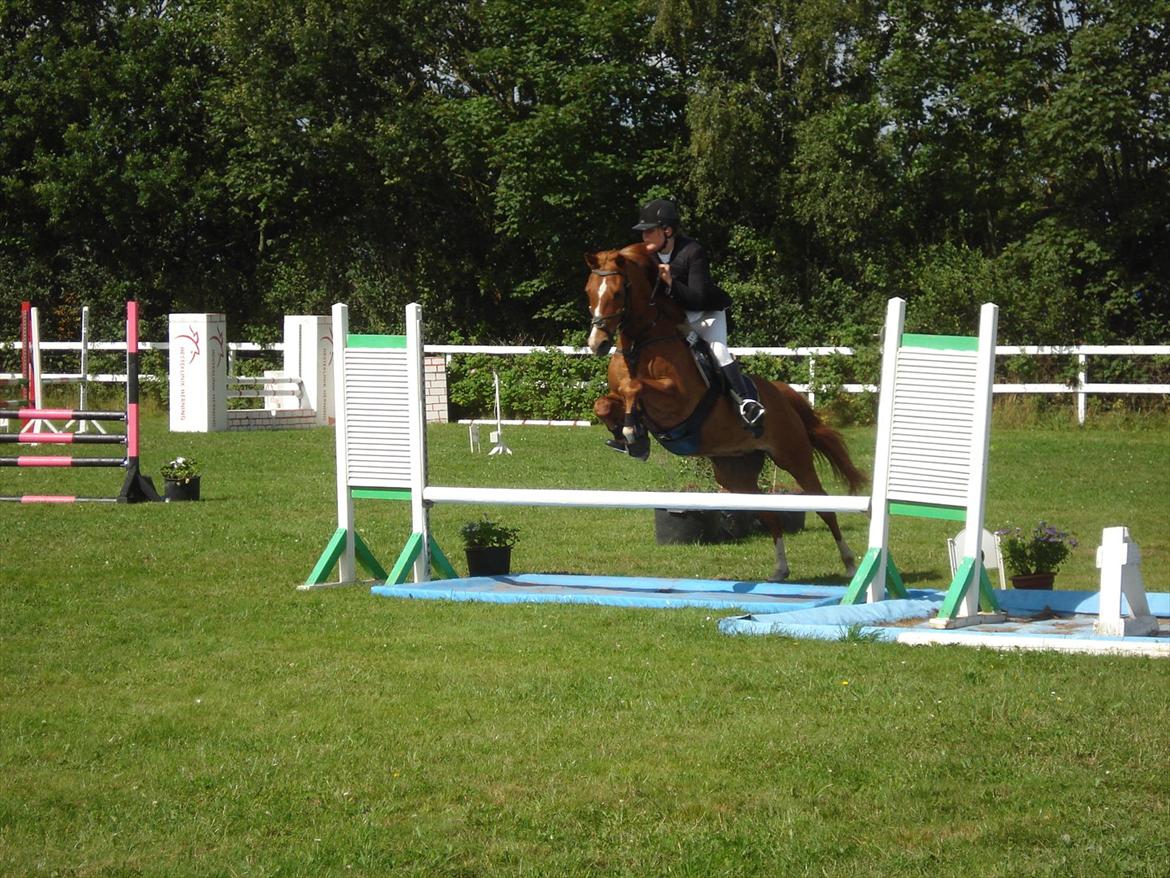 Anden særlig race Mix <3  - La Derby mix <33 billede 1