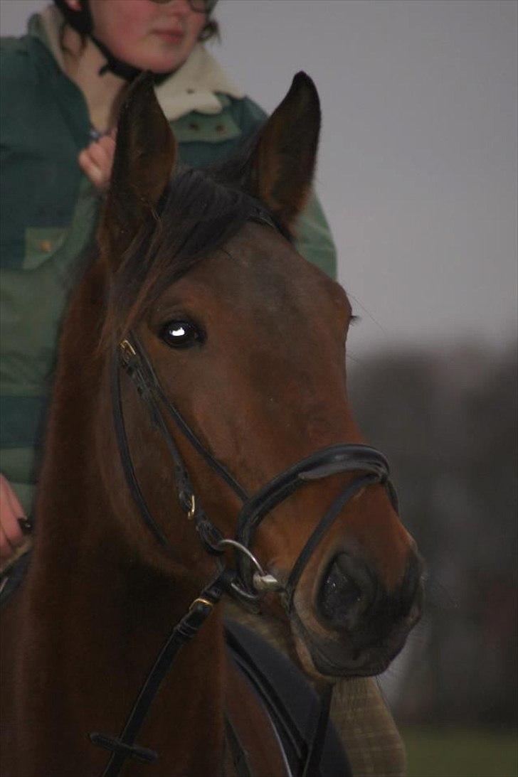 Traver Now Victory (gl. part) billede 15