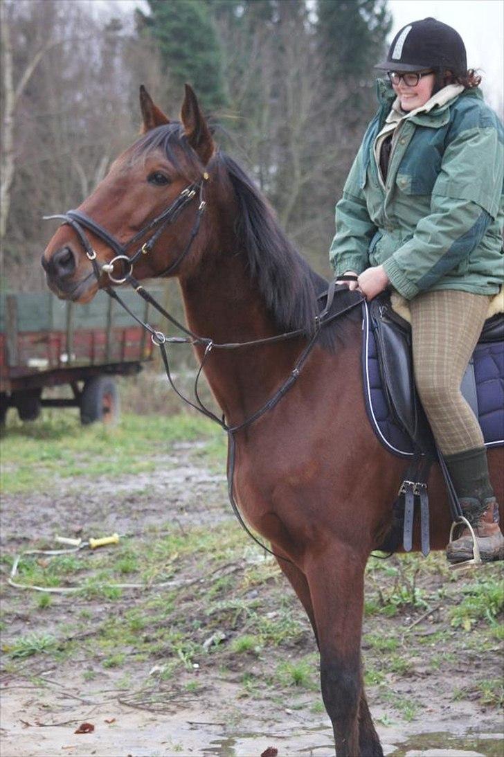 Traver Now Victory (gl. part) billede 17