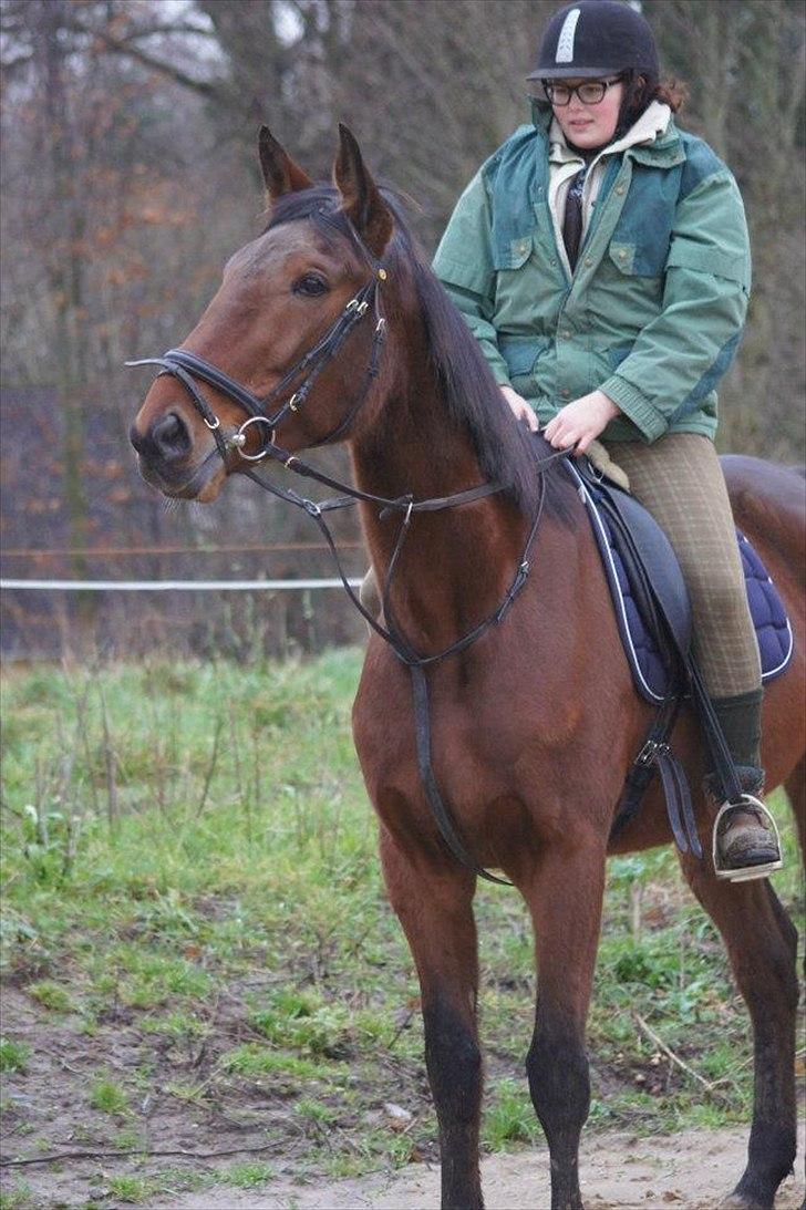 Traver Now Victory (gl. part) billede 18