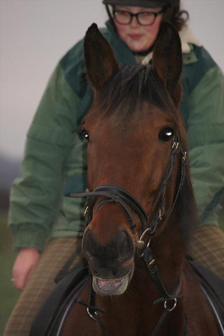 Traver Now Victory (gl. part) billede 20