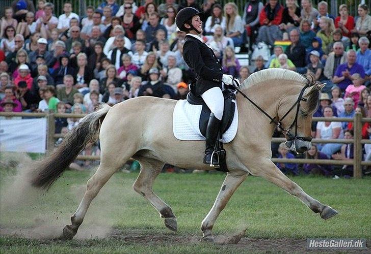 Fjordhest Fønix Elsa - roskilde dyreskue 2011 med min søster billede 1