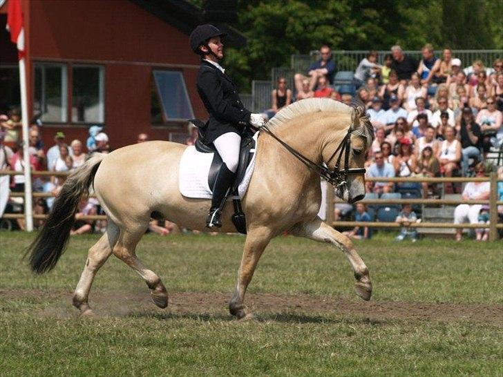 Fjordhest Fønix Elsa - Roskilde dyreskue 2011 med min søster billede 3
