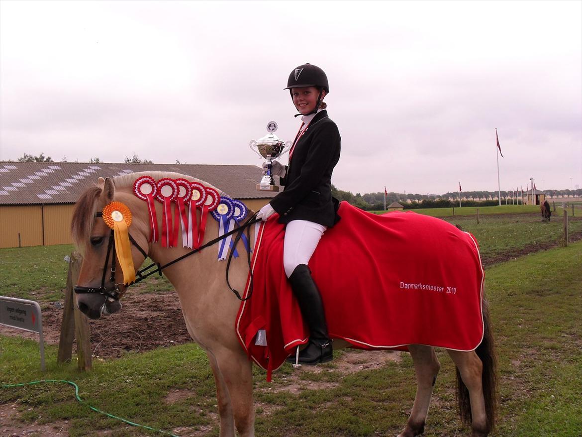 Fjordhest Fønix Elsa - min søster og elsa. DM vinder for fjordheste 2010 billede 4