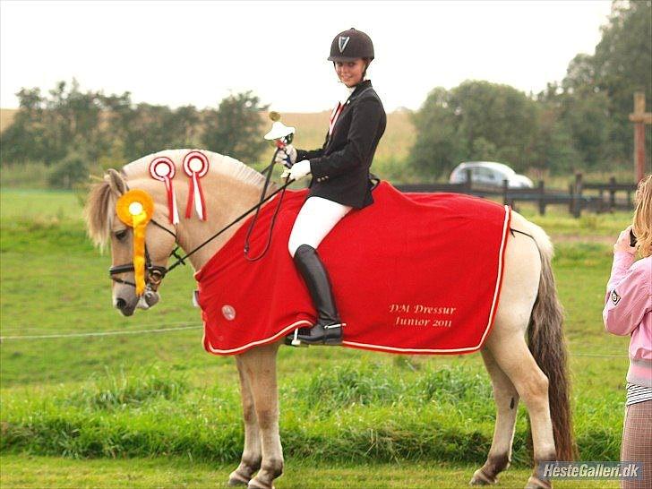 Fjordhest Fønix Elsa - min søster og Elsa. DM vinder for fjordheste 2011 billede 5