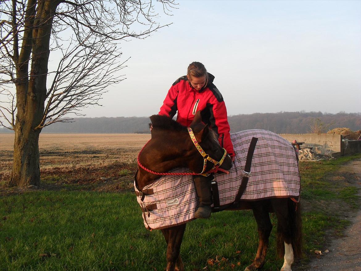 New Forest Firfod Jordbær med fløde - Jordbæret<3 billede 9