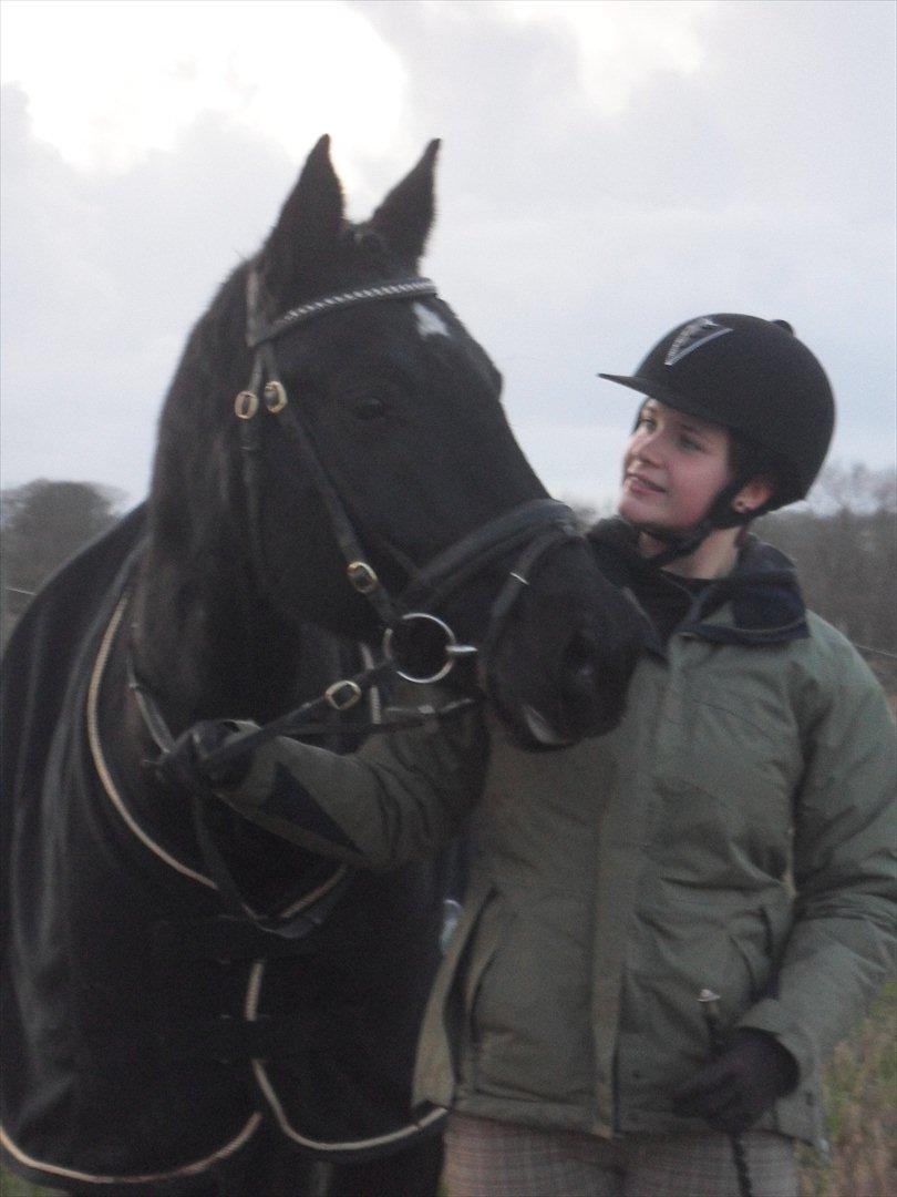 Anden særlig race Mølbjerggaards Zorro billede 7