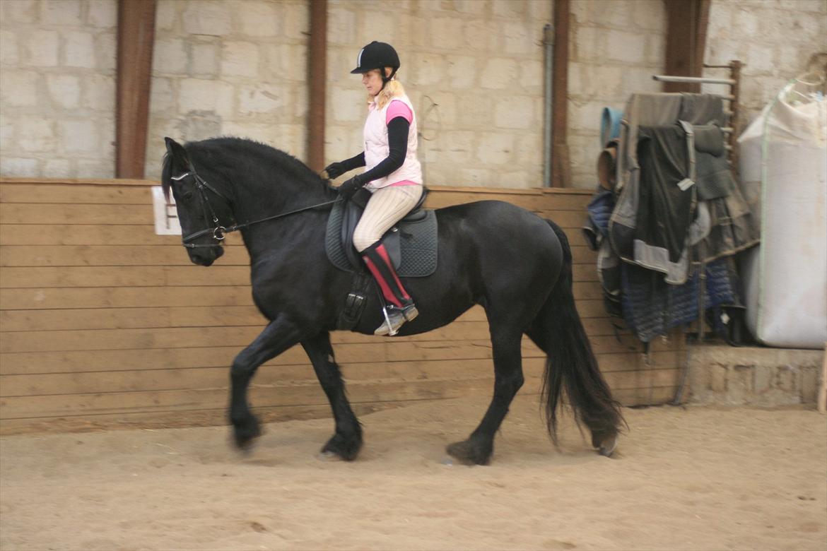 Frieser Maaike Margreet billede 17