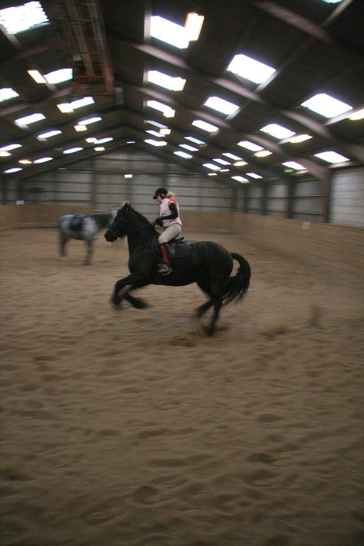 Frieser Maaike Margreet - Maaike springer i galop det er lidt voldsomt billede 18