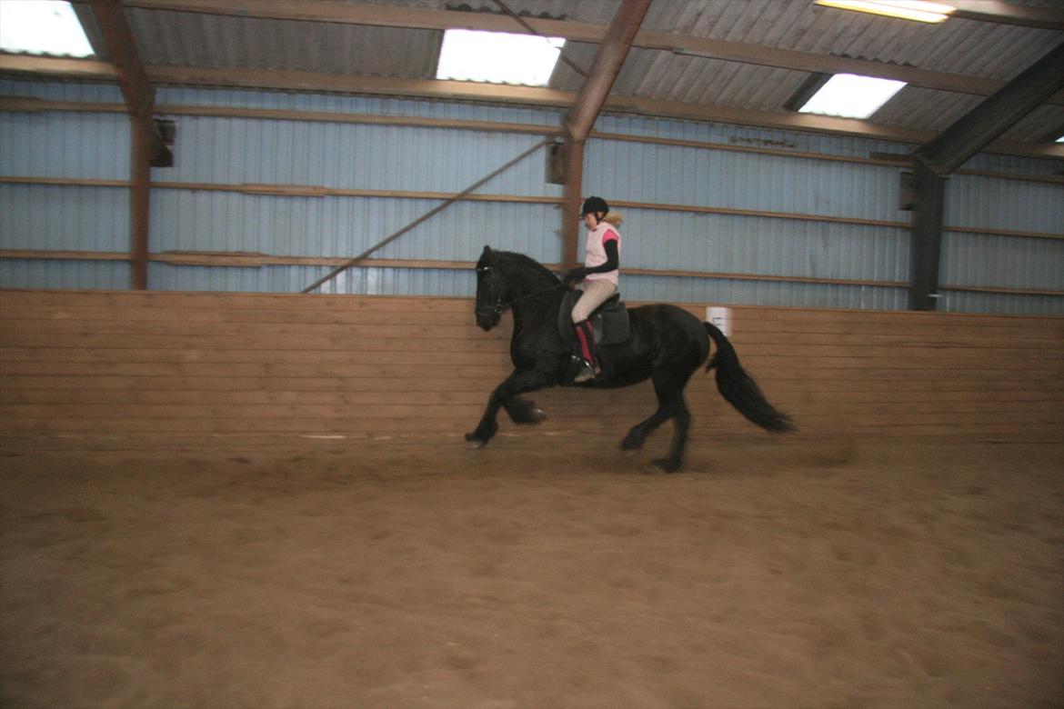 Frieser Maaike Margreet billede 1