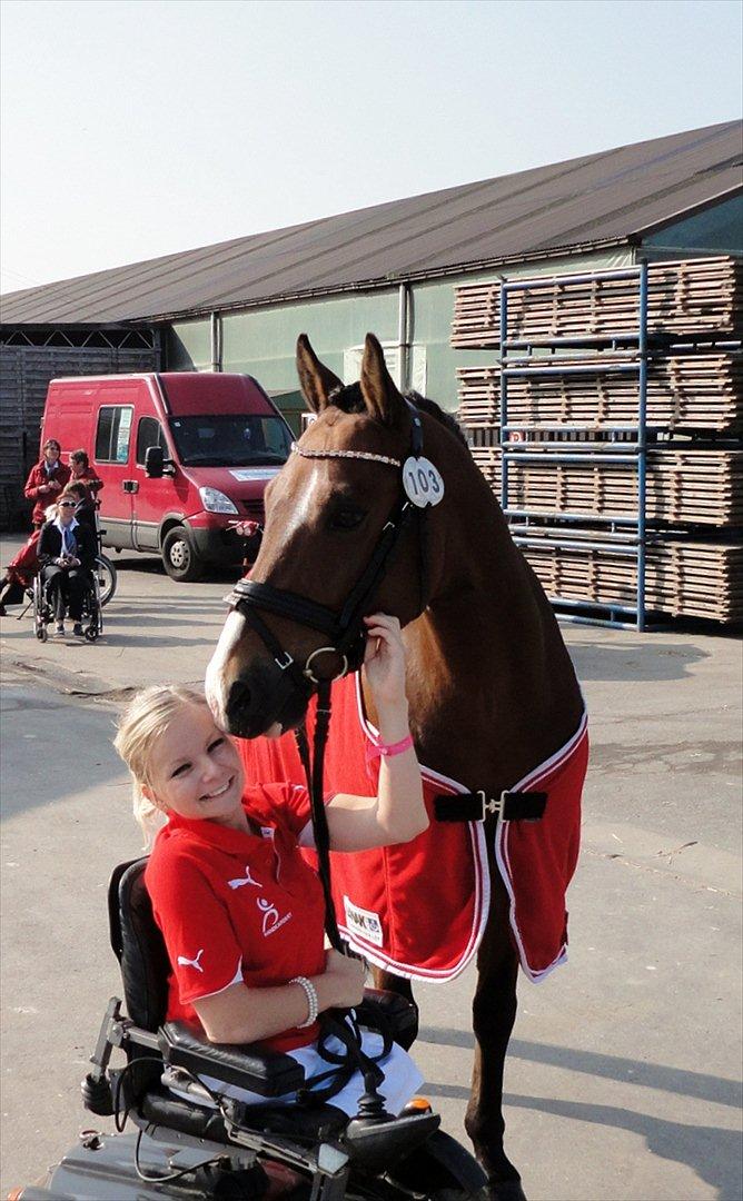 New Forest Labbenhus Snøvs <3 R.I.P :'( - Bølle og jeg til EM i Belgien :-)) billede 20