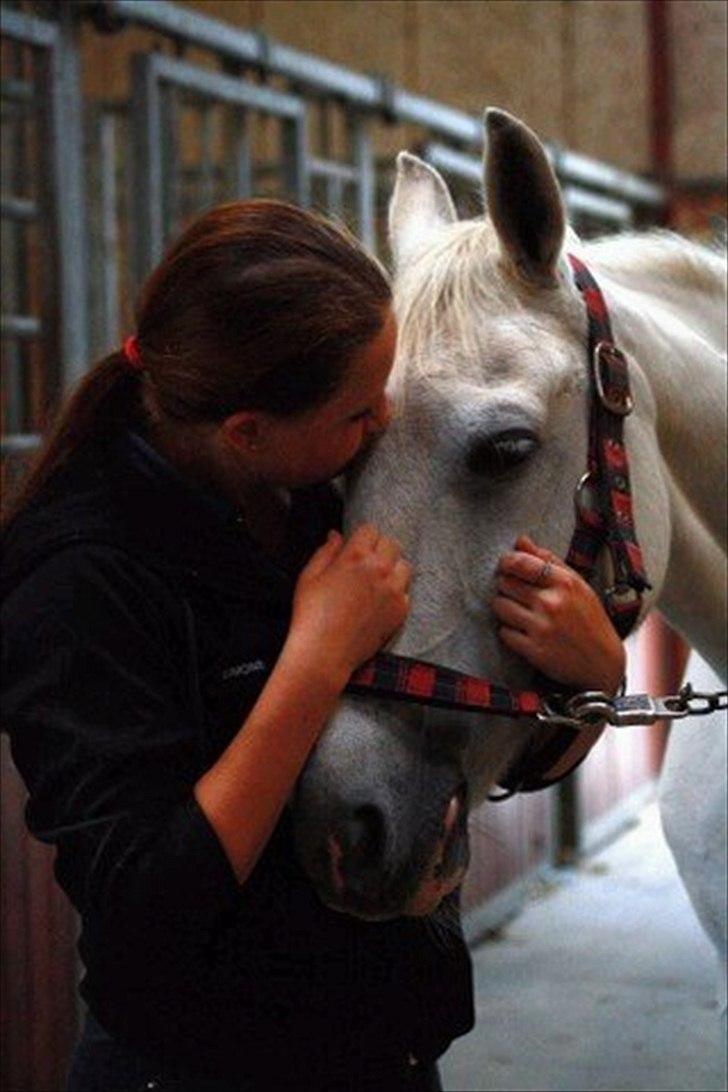 Anden særlig race | Find My Name - 9) Hyggedag :') - Foto: SKS Foto :-) | I just can't stop loving you billede 9