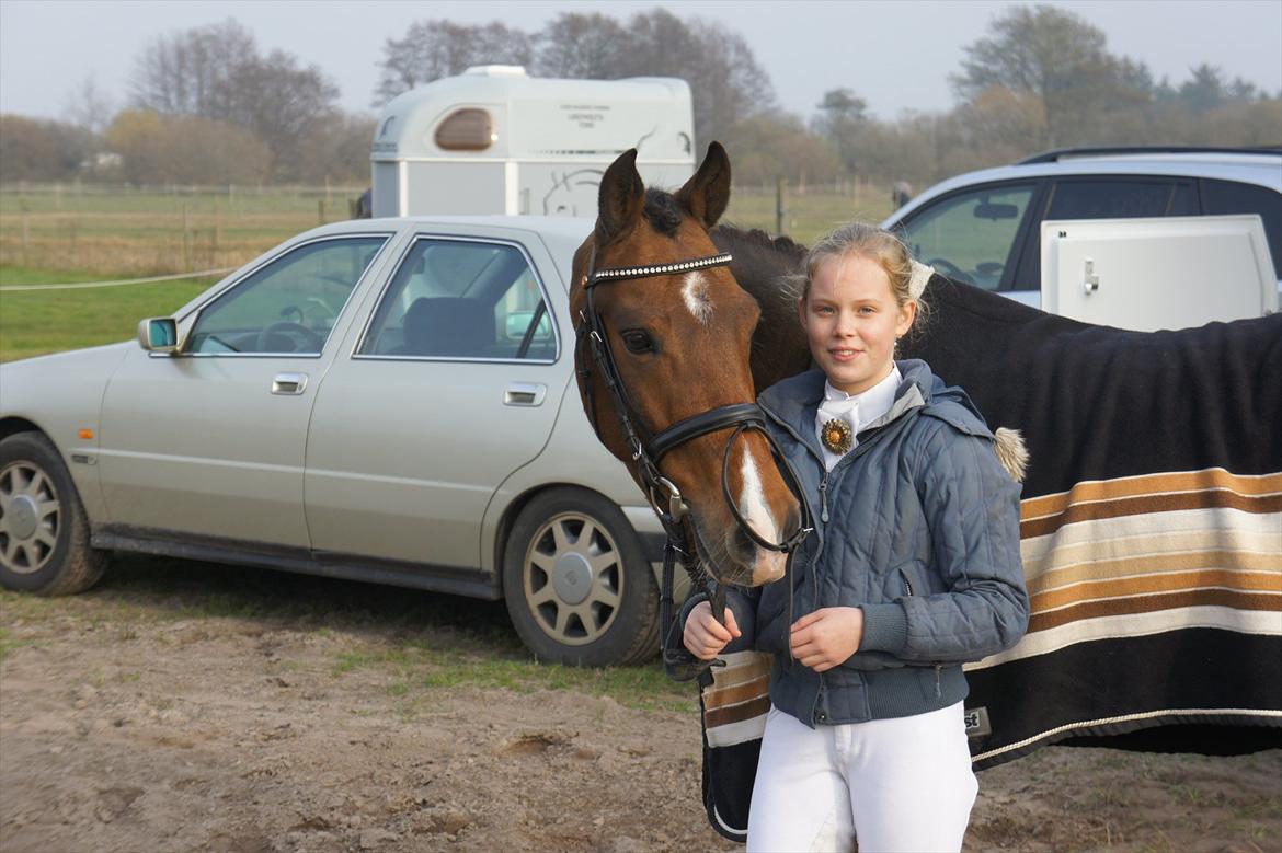 New Forest Odbjergs Elizar billede 15