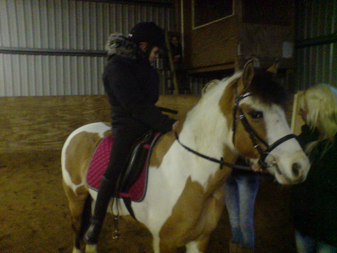 Anden særlig race Hedegårdens Savannah<3my soulmate<3I miss you babe - Første gang jeg prøvede Vannah :') :D billede 8