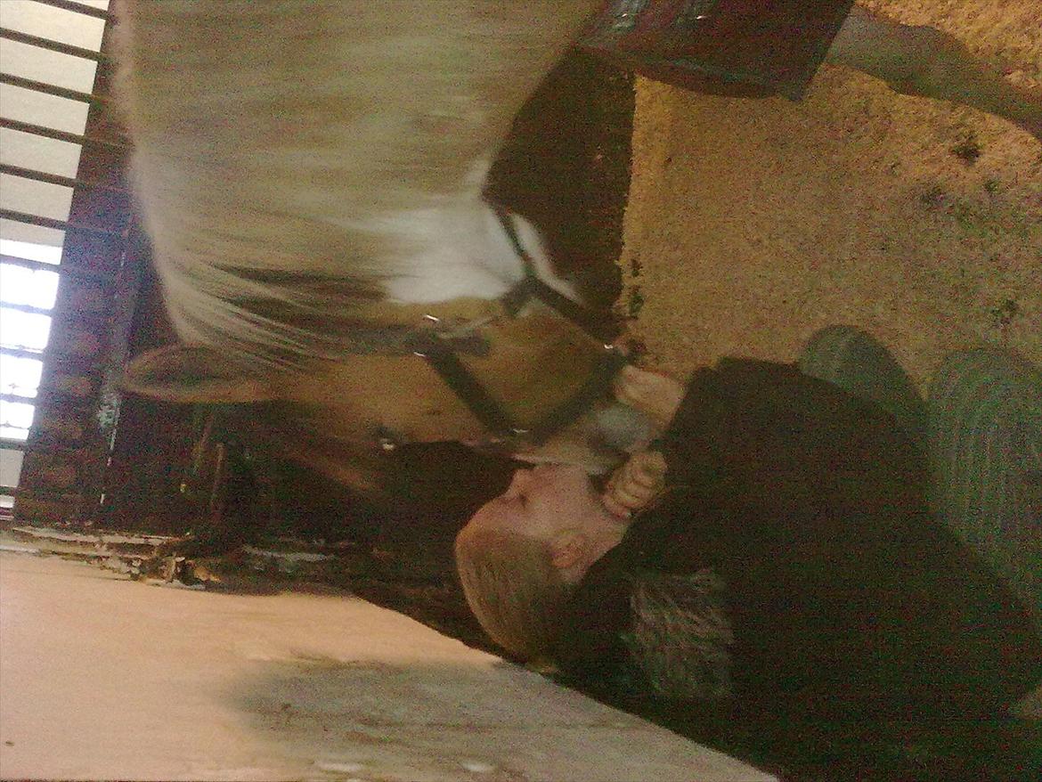 Anden særlig race Hedegårdens Savannah<3my soulmate<3I miss you babe billede 10