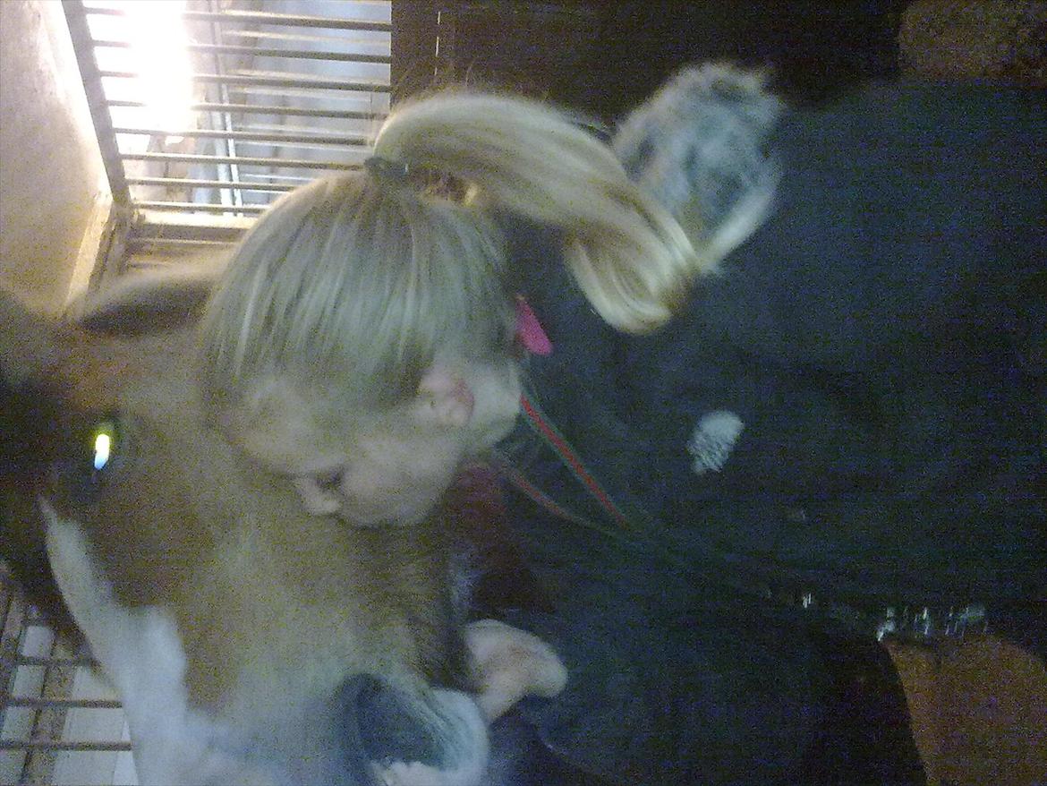 Anden særlig race Hedegårdens Savannah<3my soulmate<3I miss you babe - Jeg elsker dig! du vil altid være i mit hjerte :D billede 11