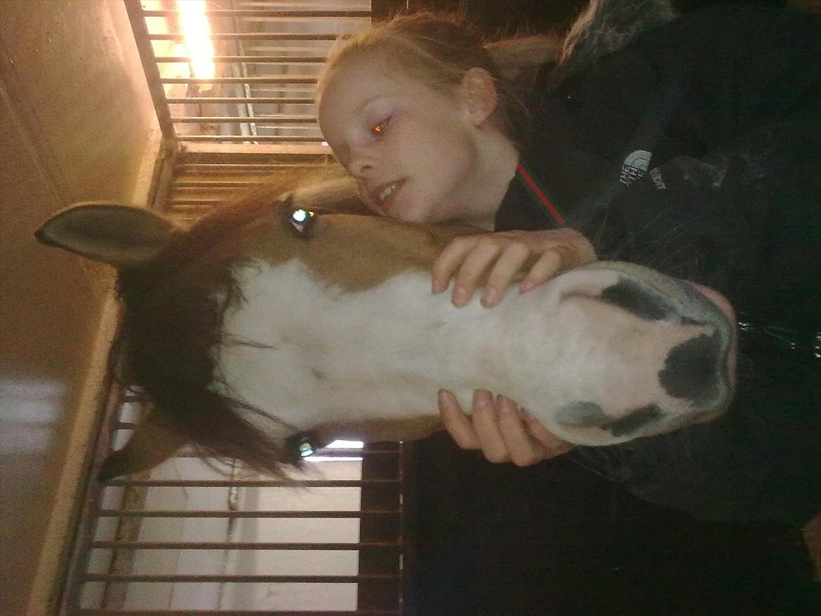 Anden særlig race Hedegårdens Savannah<3my soulmate<3I miss you babe - Good bye my lover billede 12