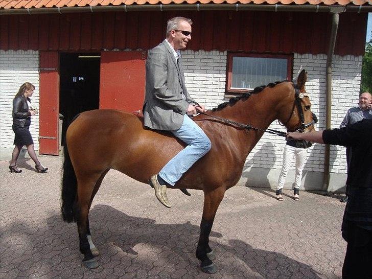 Anden særlig race Esmaralda "A-pony" SOLGT - RALDE OG MICHAEL TIL MIN KONFI :D tihi'min onkel mente godt han kunne ride;) hæhæhæhæh billede 20