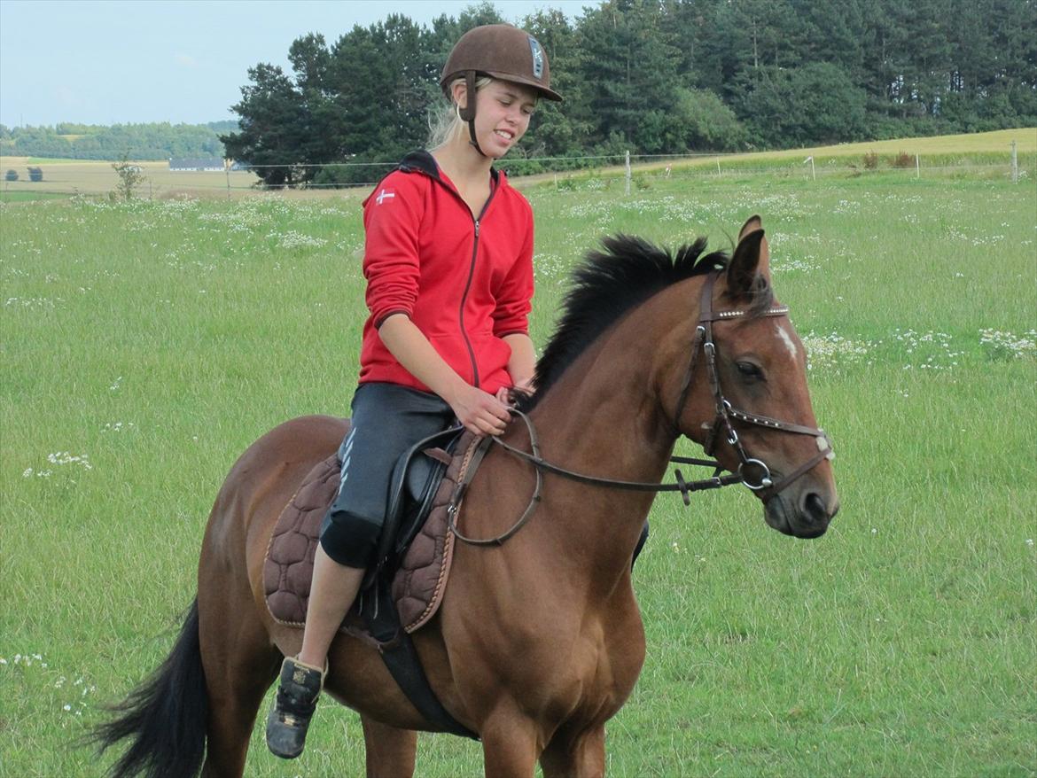 Anden særlig race Dreamcatcher - Smukke Dream! billede 14