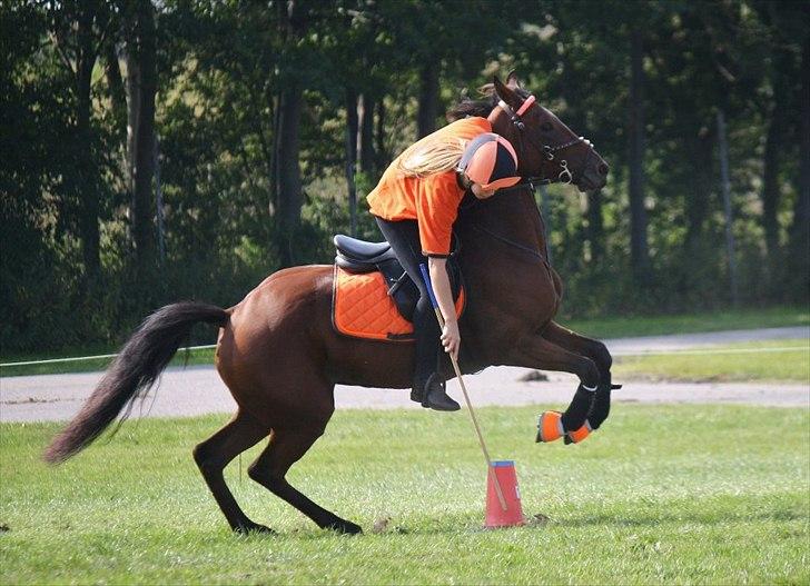Anden særlig race Dreamcatcher - hov, remte vidst ikke keglen, men Dream ser flot ud :b
2011 billede 1