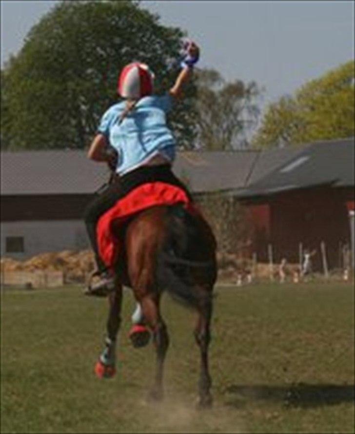 Anden særlig race Dreamcatcher - Vinder af debutant klassen. :D
2011 billede 19