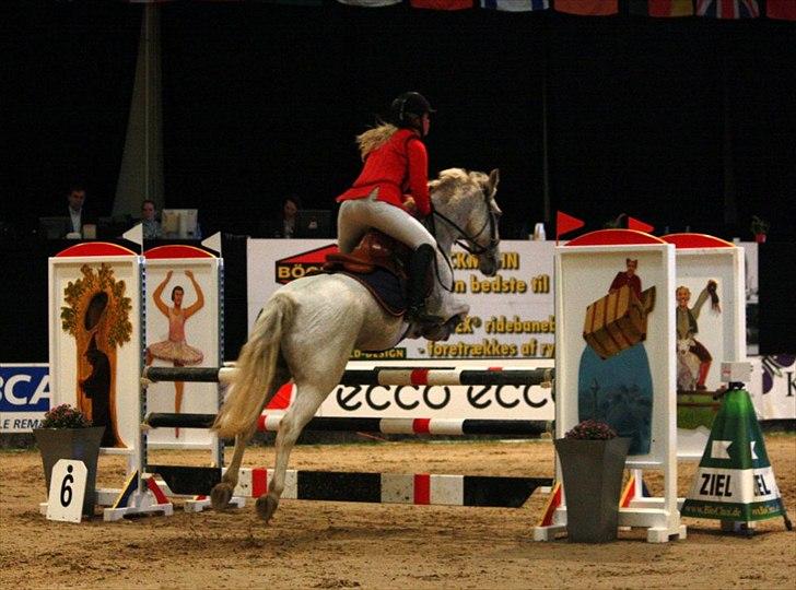 Anden særlig race BOBBY - Bobby og jeg - JBK Horse Shows 2011. (SØJ Foto) billede 12