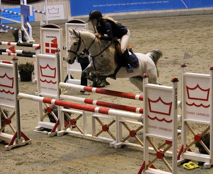 Tysk Sportspony AMERICAN JACKPOT (AMIGO) - Jackpot & Mig, på Vilhelmsborg til Baltic-cup finalen 2011.
Her i MB eller MA<3.
foto: Nathalie Sam, tak (-: billede 16