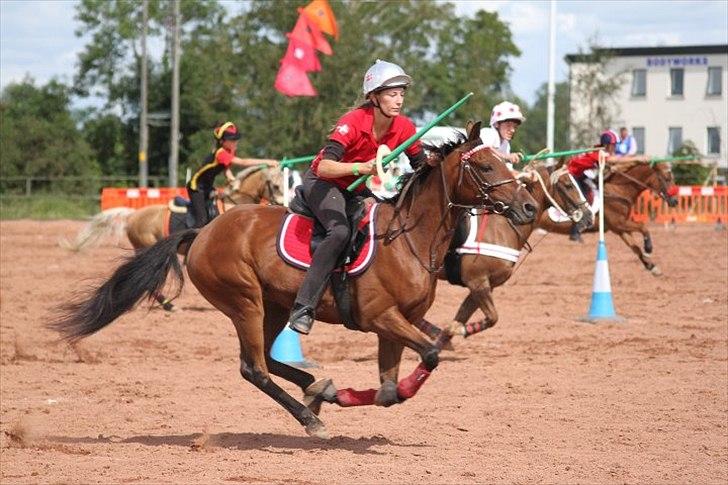 Anden særlig race Dreamcatcher - Isabella og Dream til EM i Irland. :)
2011 billede 15