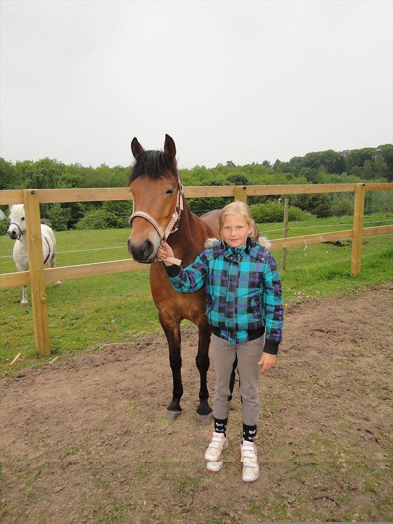 Anden særlig race Zafira  "solgt" - Zafira´s nye ejer billede 13