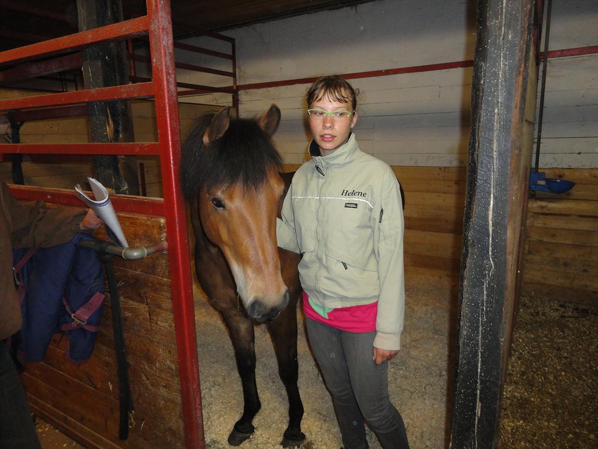 Anden særlig race Zafira  "solgt" - zafira´s nye hjem billede 14