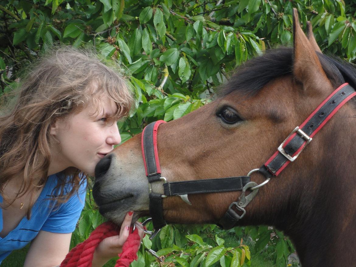 Anden særlig race Zafira  "solgt" - Min søster der kysser Zafira farvel <33 billede 16