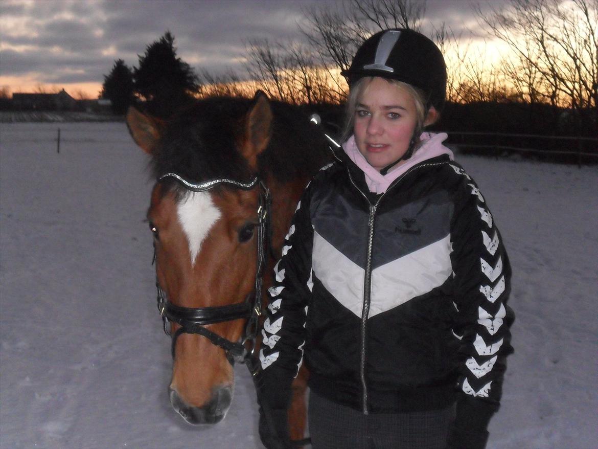 New Forest Beukenhof Iris - skridt tur i sneen ! :D billede 17