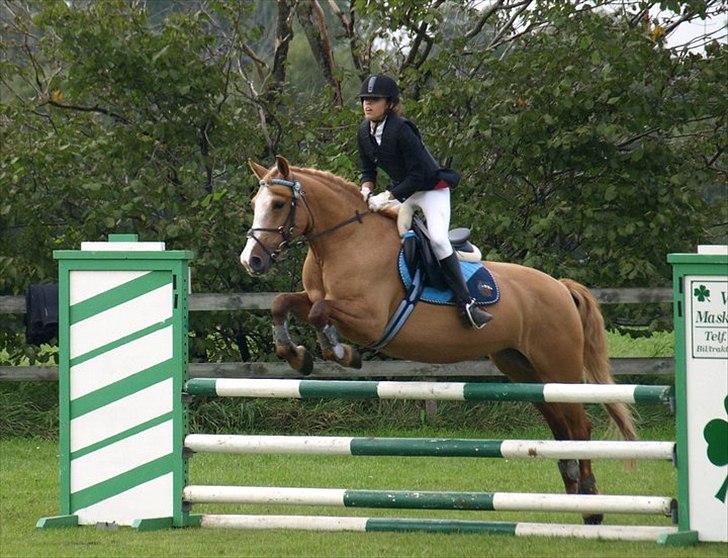 Anden særlig race Sally miin Prinsesse Y solgt billede 19