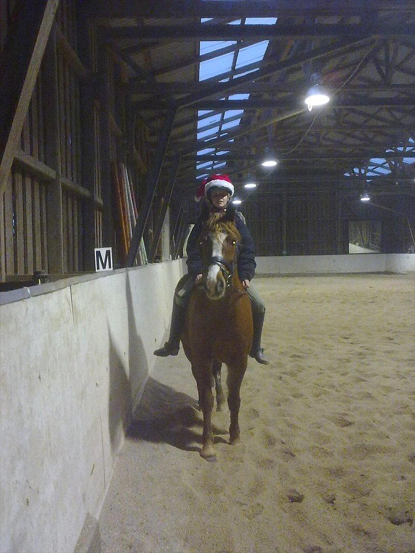 Anden særlig race Thunder Boy billede 5